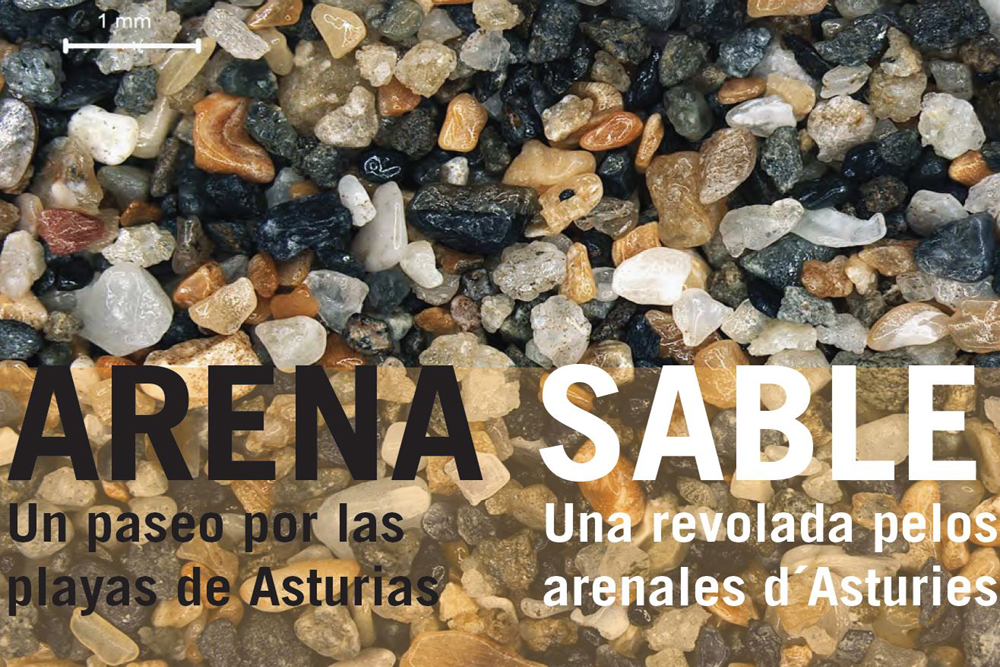 Exposición ARENA Exposición ARENA