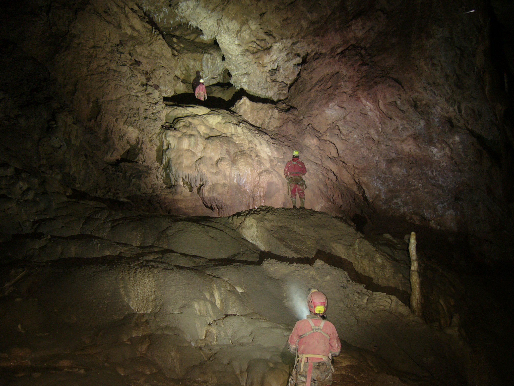 Investigaciones del Departamento de Geología