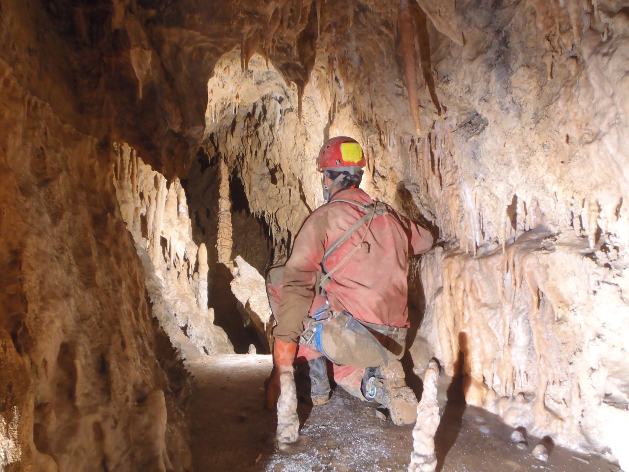 Proyecto Geocave Proyecto Geocave